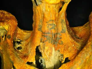 Momia cubierta de tatuajes