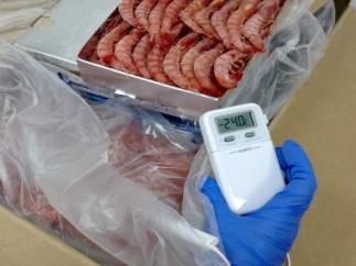 Inspección sanitaria de marisco de importación