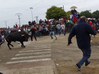 No se matará al Toro de la Vega