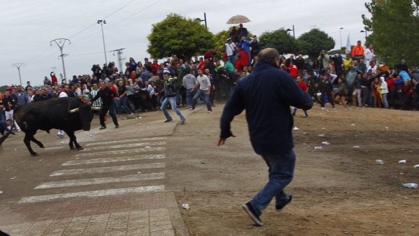 No se matará al Toro de la Vega No se matará al Toro de la Vega