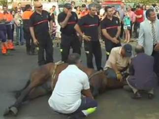 Caballo desvanecido