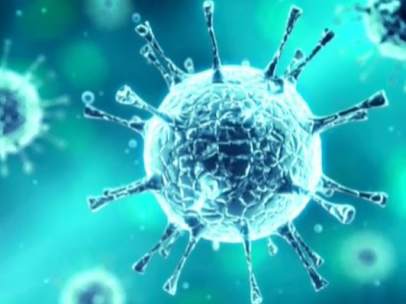 Enterovirus