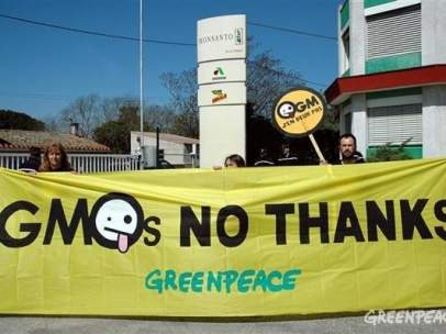 Campaña contra los transgénicos, de Greenpeace- Monsanto