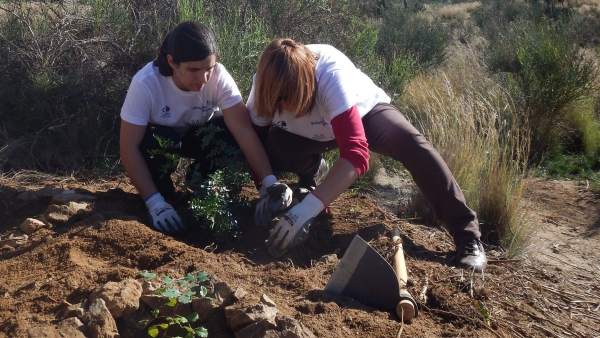 Voluntariado. Voluntariado.