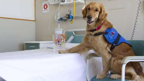 Terapias asistidas con perros en el Hospital 