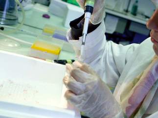 Investigación contra el cáncer