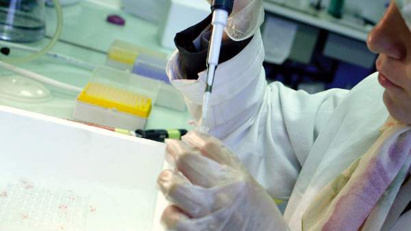 Investigación contra el cáncer Investigación contra el cáncer
