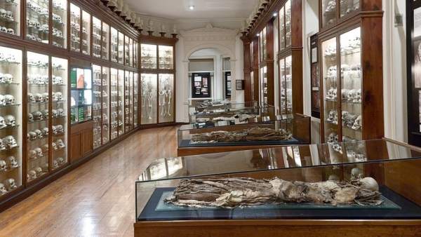 Una de las Salas del Museo Canario Una de las Salas del Museo Canario