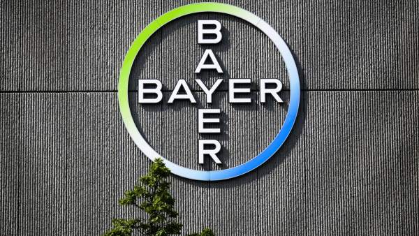 Bayer Bayer