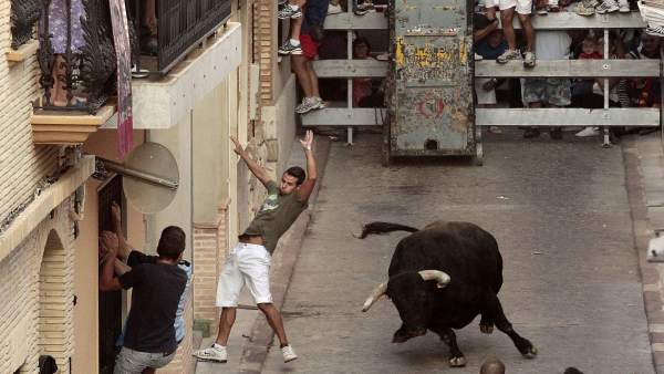 Festejo taurino de 'bous al carrer' en Puçol Festejo taurino de 'bous al carrer' en Puçol