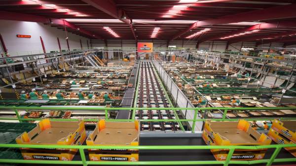 Cooperativa Fruits de Ponent Cooperativa Fruits de Ponent
