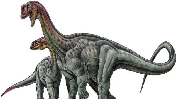 Titanosaurus Titanosaurus