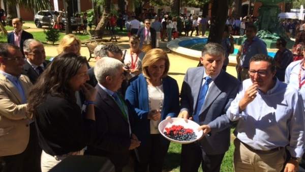 Fátima Báñez prueba los frutos rojos Fátima Báñez prueba los frutos rojos