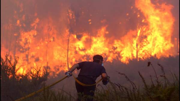 Incendio forestal Incendio forestal