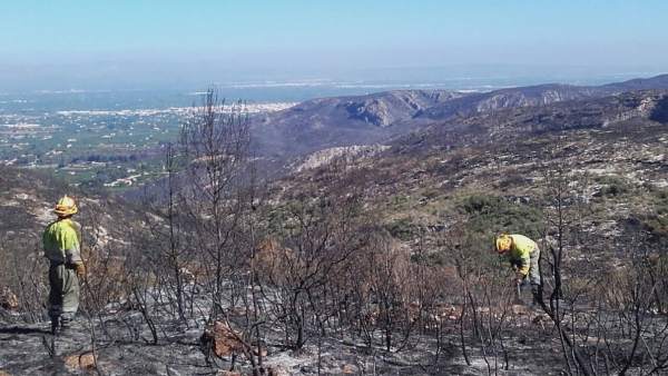 Brigadas refrescando la zona afectadas por el incendio de Carcaixent Brigadas refrescando la zona afectadas por el incendio de Carcaixent