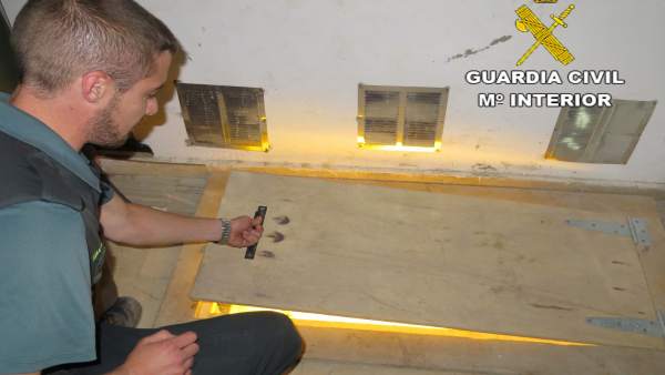 Un agente manipula el acceso a la plantación subterránea Un agente manipula el acceso a la plantación subterránea