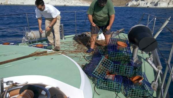 Artes de pesca decomisadas Artes de pesca decomisadas