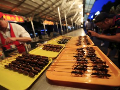 Brocheta de bichos