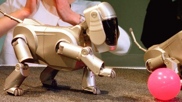 AIBO AIBO