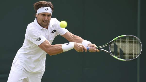 David Ferrer David Ferrer