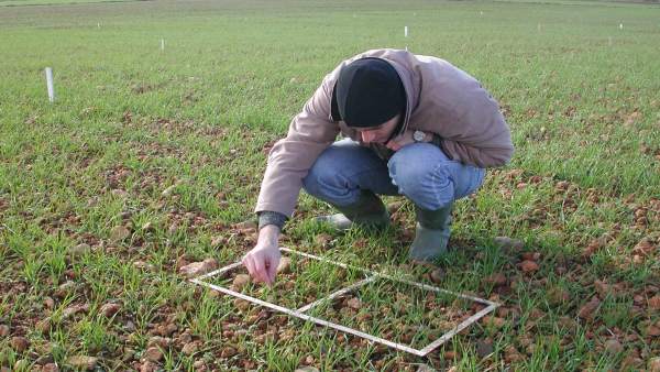 Joven agricultor Joven agricultor