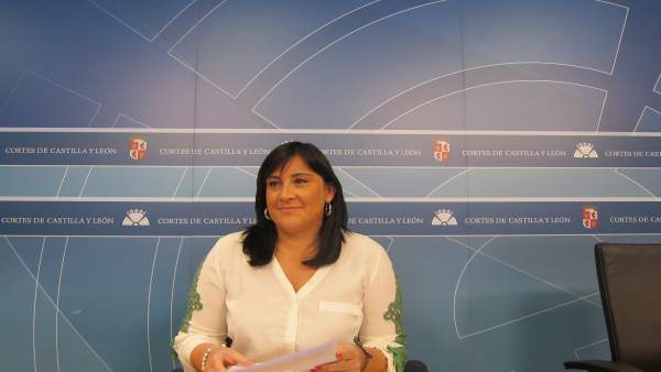 La secretaria de Organización del PSCyL, Ana Sánchez La secretaria de Organización del PSCyL, Ana Sánchez