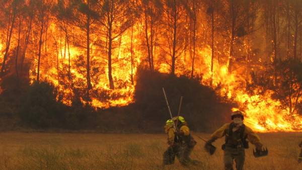 Actuación de extinción de incendio forestal en 2013 Actuación de extinción de incendio forestal en 2013
