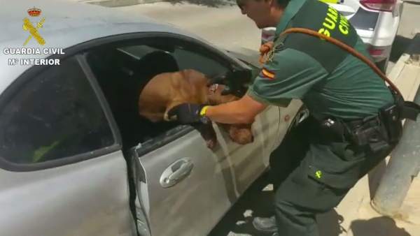 Un agente rescata a un animal del interior de un coche Un agente rescata a un animal del interior de un coche