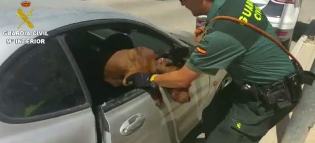 Un agente rescata a un animal del interior de un coche