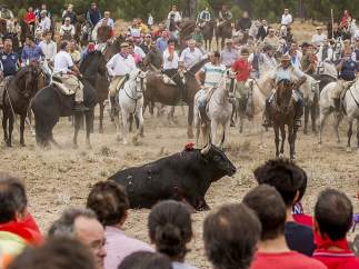 El Toro de la Vega