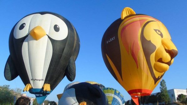 DOS PINGÜINOS Y UN LEÓN DOS PINGÜINOS Y UN LEÓN
