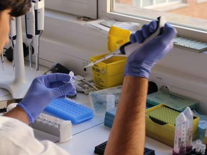 Laboratorio