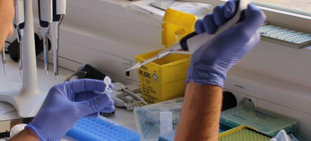 Laboratorio