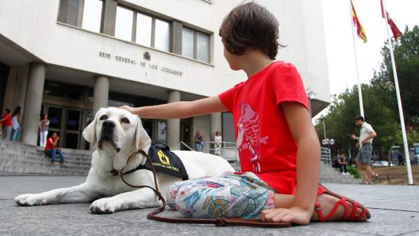 Perros de asistencia judicial Perros de asistencia judicial