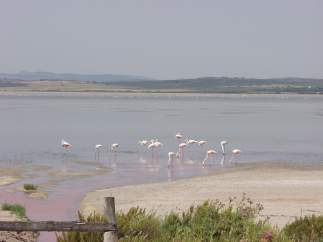 Reserva Natural de las Lagunas de Campillos