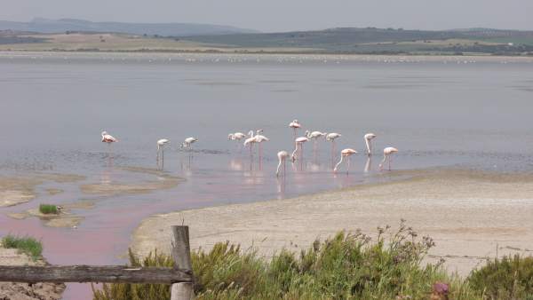 Reserva Natural de las Lagunas de Campillos Reserva Natural de las Lagunas de Campillos