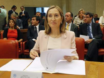 Ana Pastor, en el Congreso