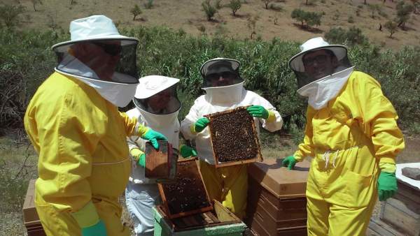 Apicultores de la empresa Bee Garden Apicultores de la empresa Bee Garden