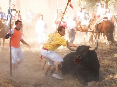 Toro de La Vega