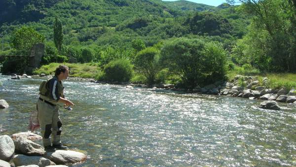 Pesca de trucha en Pirineos. Pesca de trucha en Pirineos.