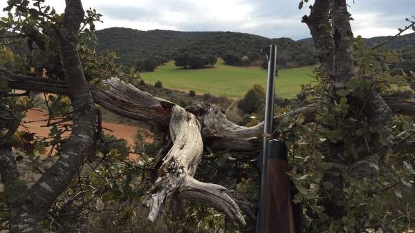 Uno de los puestos de espera de caza en Aragón. Uno de los puestos de espera de caza en Aragón.