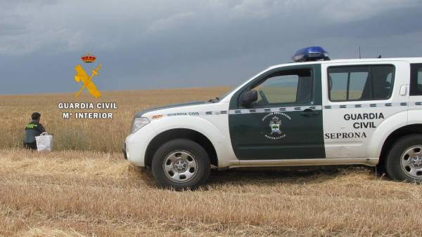 Guardia Civil Guardia Civil
