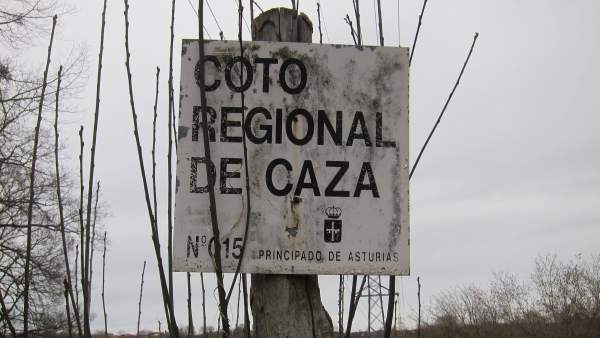 Coto de Caza Coto de Caza