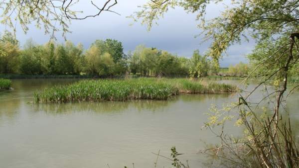 Las Precipbajan Un 4Ños En La Segre Las Precipbajan Un 4Ños En La Segre