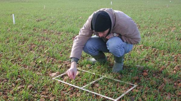 Joven agricultor Joven agricultor