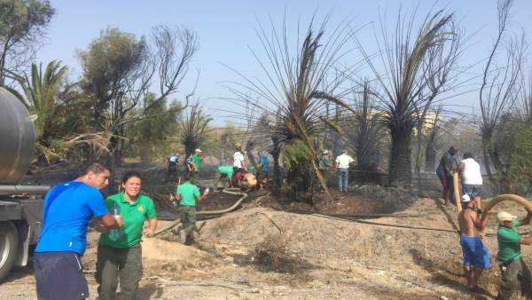 Extinción del incendio cerca de Oasis Park Extinción del incendio cerca de Oasis Park