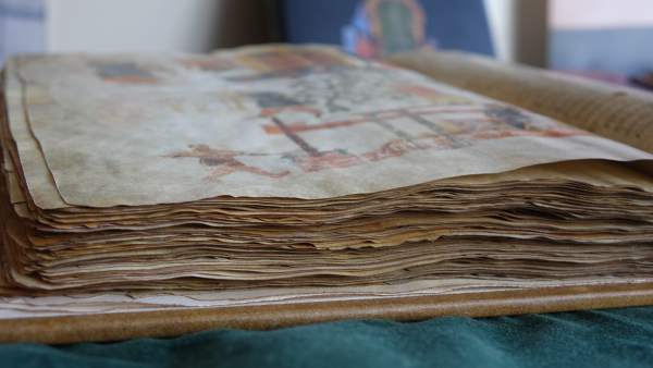 Edición del Manuscrito Voynich Edición del Manuscrito Voynich