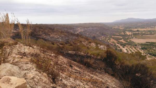 Incendio forestal en Petra Incendio forestal en Petra