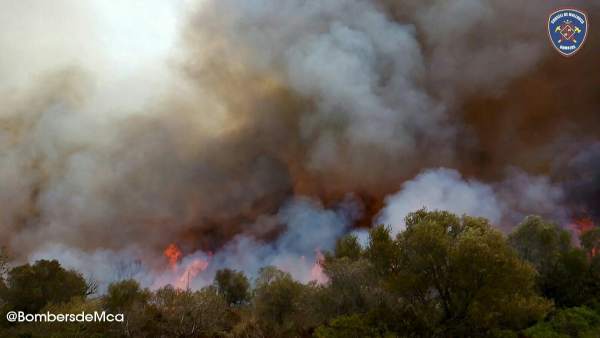 Incendio en Petra (Mallorca) Incendio en Petra (Mallorca)