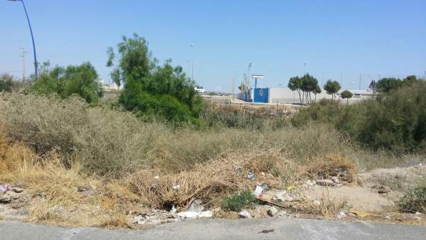 Suciedad y rastrojos acumulados en Almería Suciedad y rastrojos acumulados en Almería